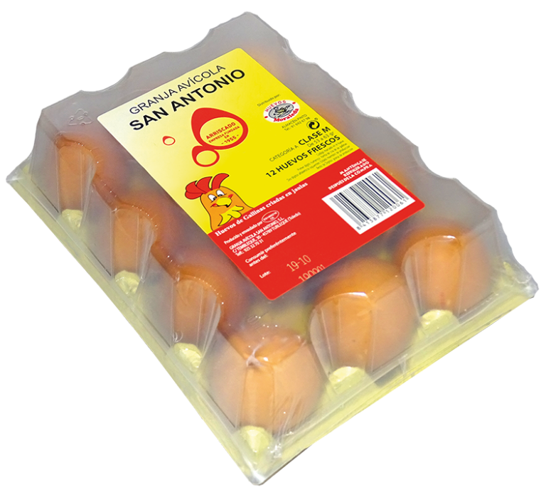  HUEVO FRESCO M DOCENA