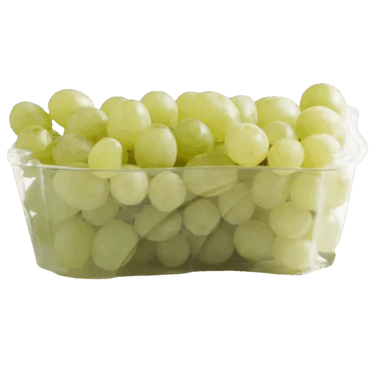  RAISIN BLANC BARQUETTE