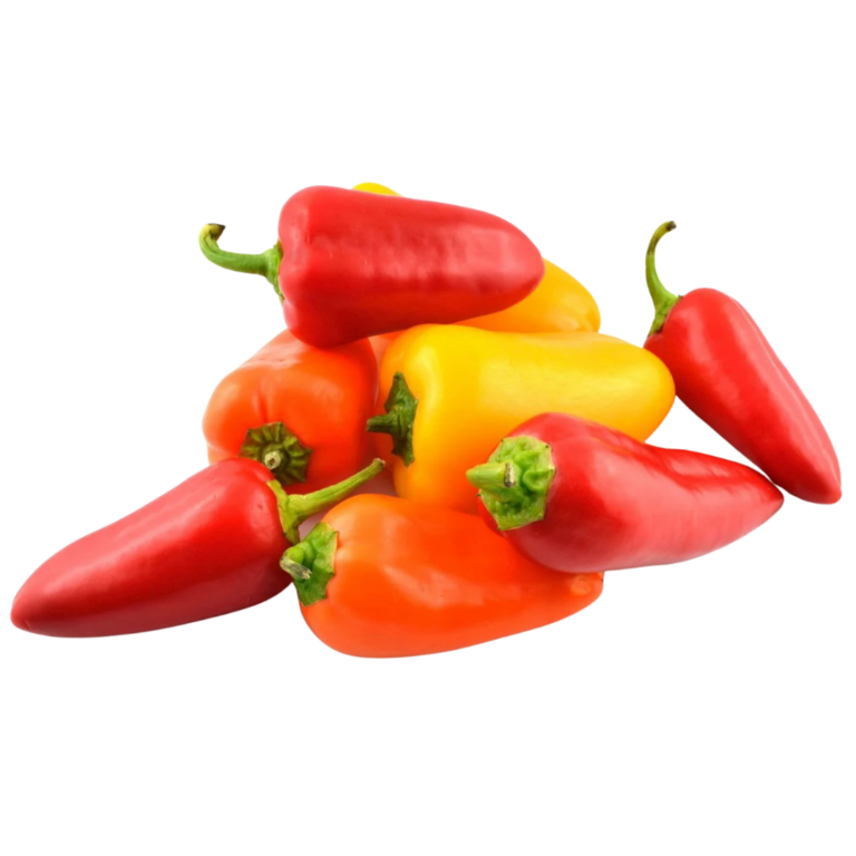  POIVRONS TRICOLORES ESPAGNE CAT II 500G