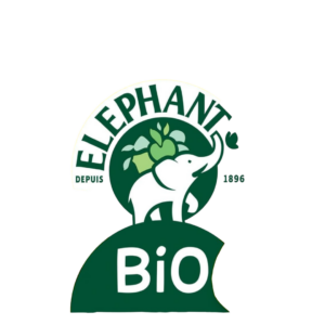 ELEPHANT INFUSION GINGEMBRE CITRON BIO 20U