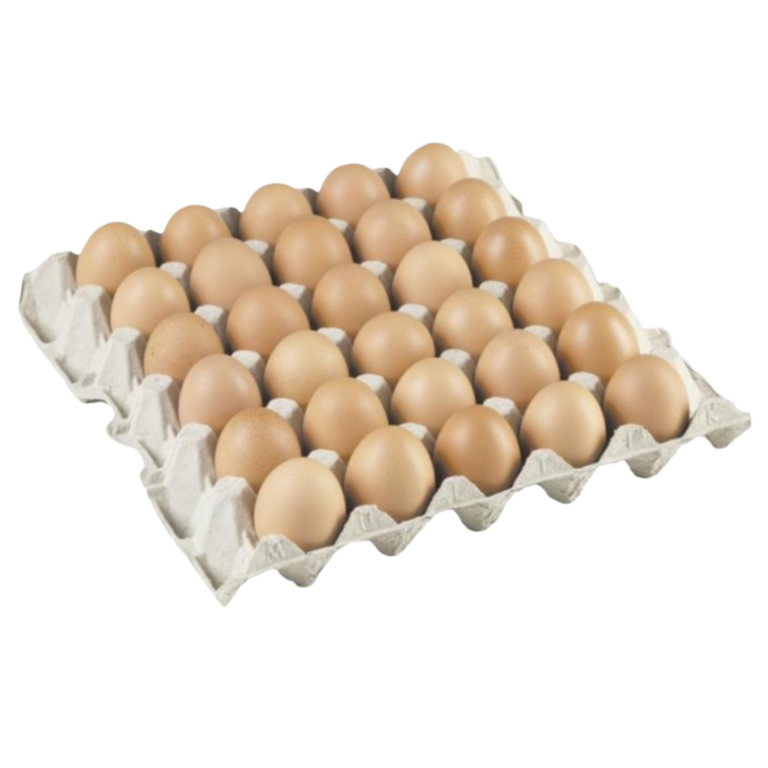  ŒUF FRAIS M ORIGINE ESPAGNE 30U