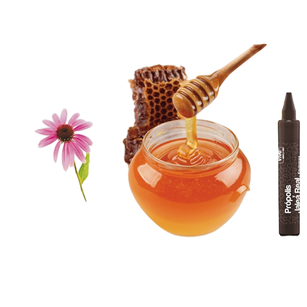 VIVE+ PROPOLIS JALEA EQUINACEA 12X10ML