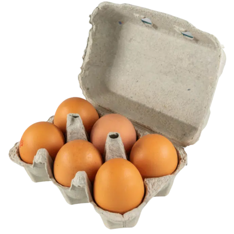 SAN ANTONIO 6 OEUFS PLEIN AIR ORIGINE ESPAGNE