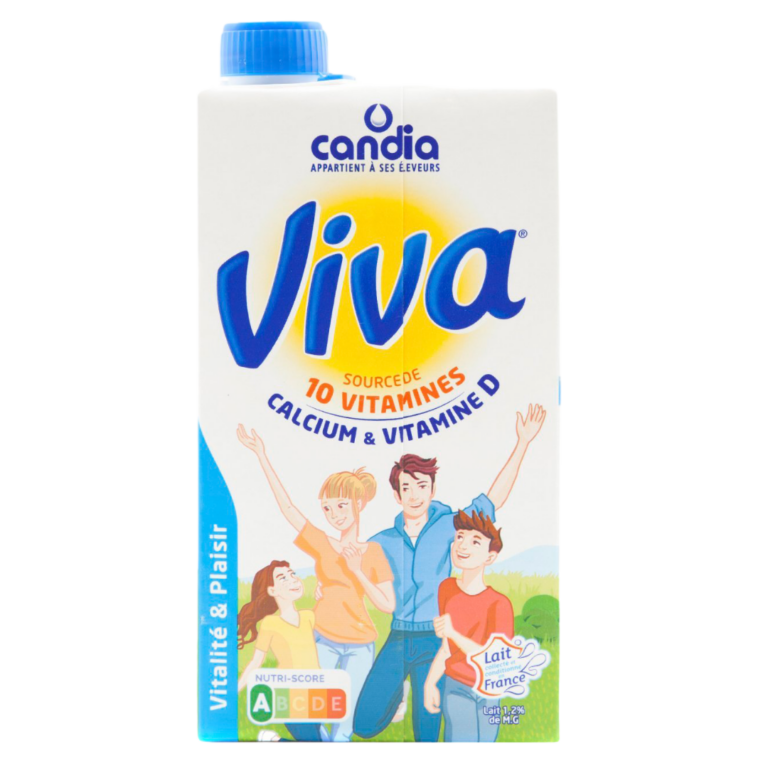 CANDIA VIVA DEMI-ÉCRÉMÉ BRICK 1L