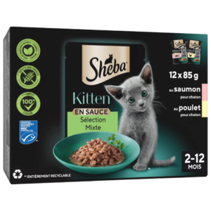 SHEBA PATÉE CHATON AU SAUMON ET POULET 12X85G