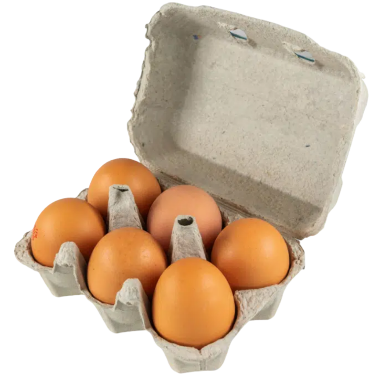  6 OEUFS PLEIN AIR ORIGINE Espagne