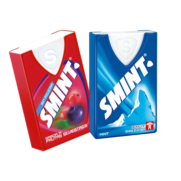 SMINT 8G