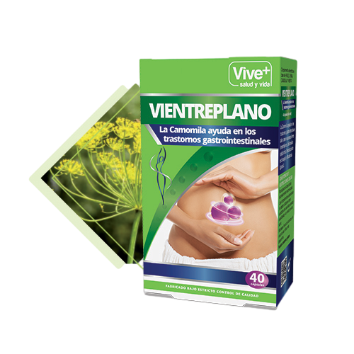 VIVE+ VIENTRE PLANO 40 CAPSULAS 17GR